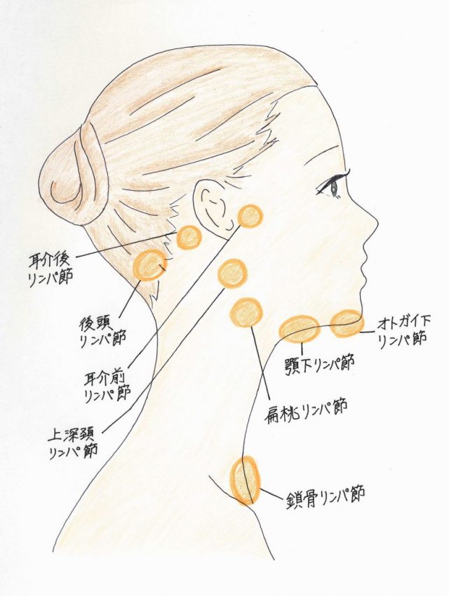 イラスト