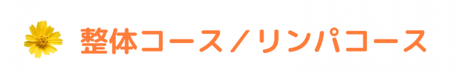 整体コースとリンパコース